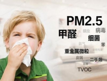 如何選擇防霾產品？
